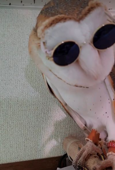 投稿動画のワンシーン