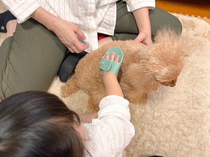 子どもにもブラッシングをしてもらいました