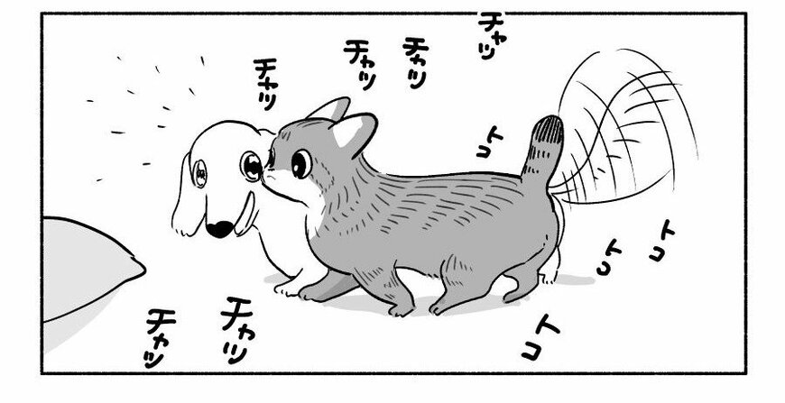 犬と猫は遊び方が違いすぎ！？描いた漫画がかわいすぎると話題