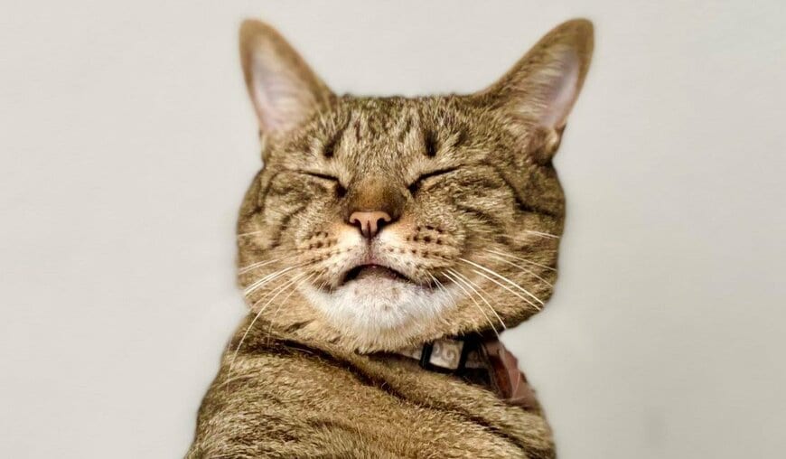 出所：@luna7taka9