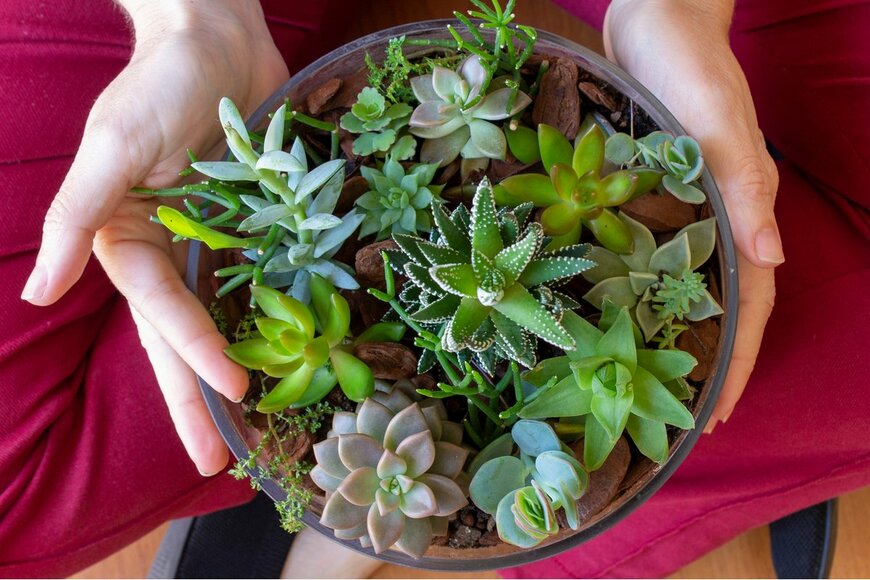 MiniLab/Shutterstock.com