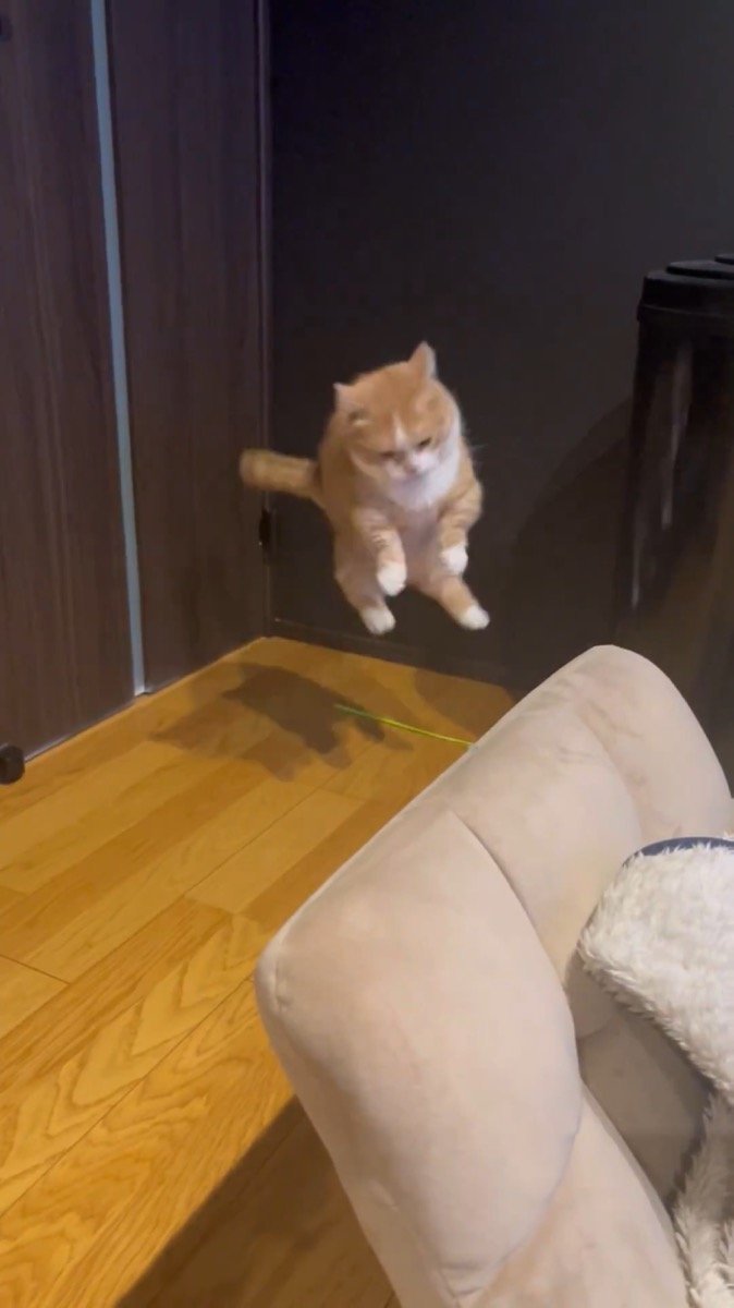 出所：@kotaro_0315