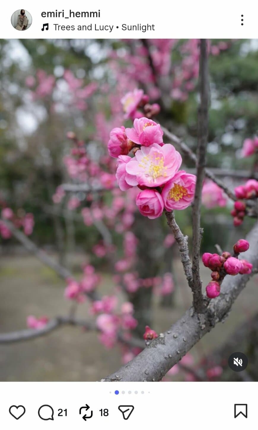 出所：辺見えみりのInstagram（＠emiri_hemmi）参照日：2026年3月4日