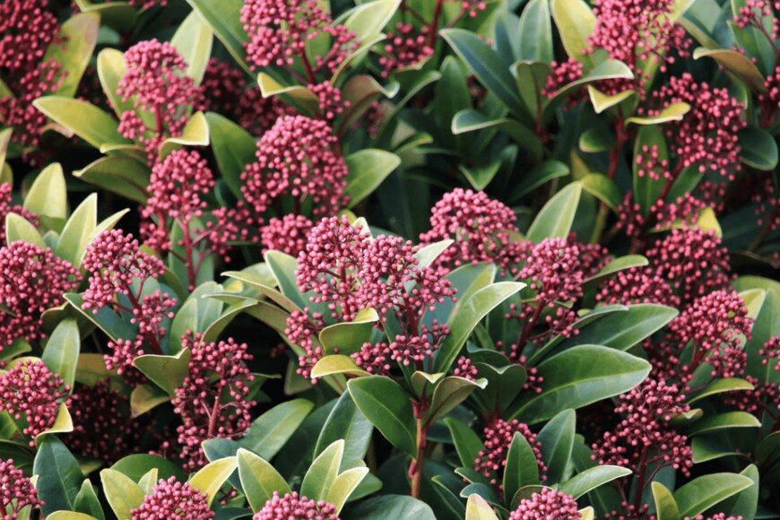 marnag/istockphoto.com