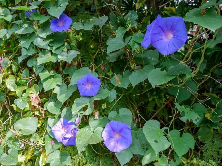 Siam Expat/shutterstock.com