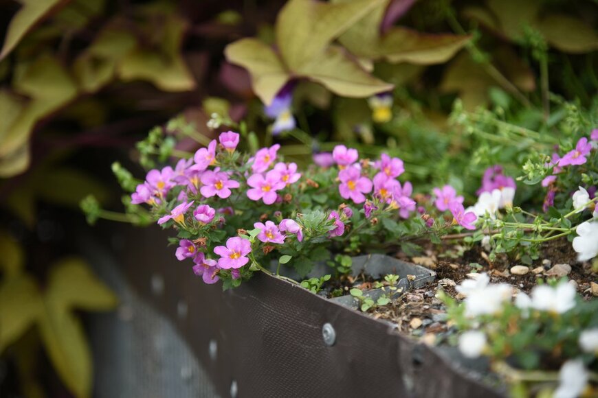 photoPOU/Shutterstock.com