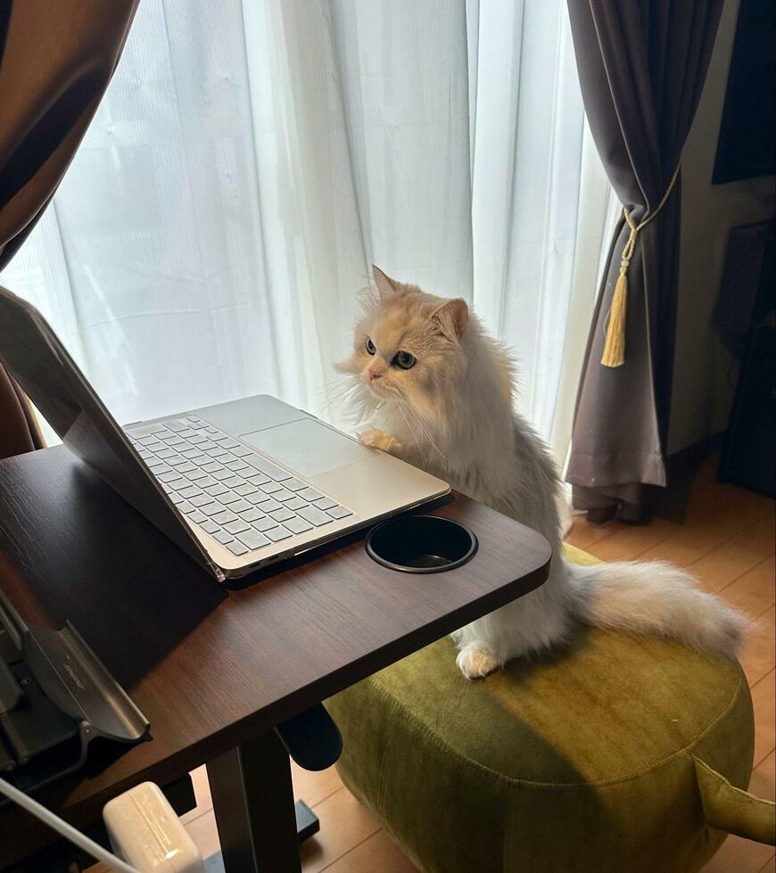 出所：@NEKOLAND13