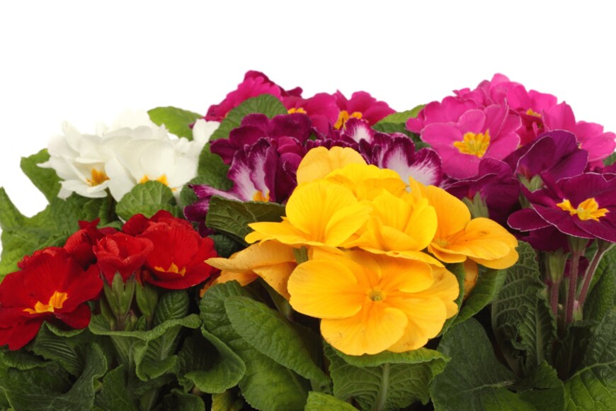 aguirre_mar/istockphoto.com