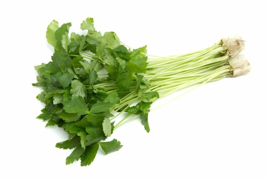 y-studio/shutterstock.com