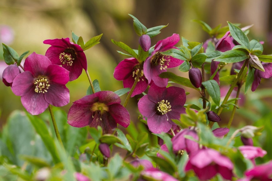 Claudia Cooper/istockphoto.com