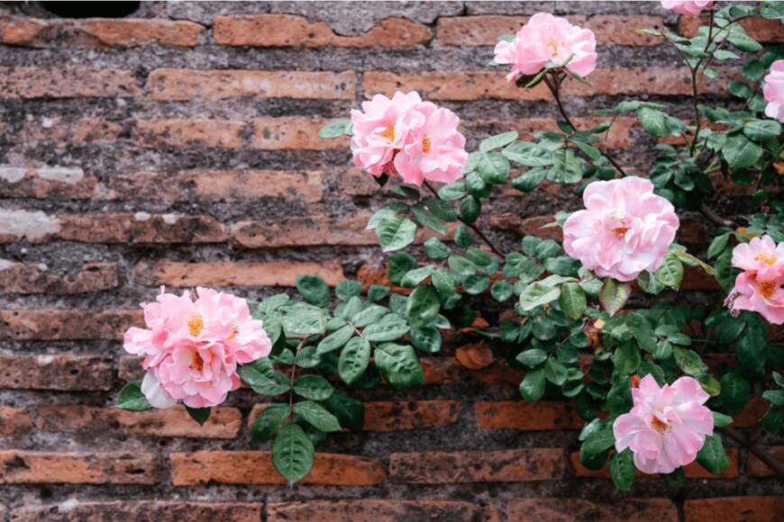 Marinesea/shutterstock.com