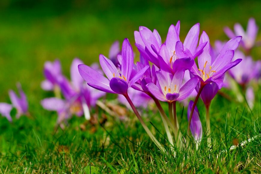 Mariola Anna S/shutterstock.com