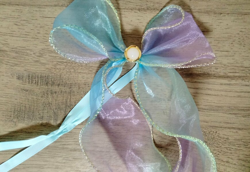 筆者撮影（セリア、ペット用チョーカー グラデーションリボン）