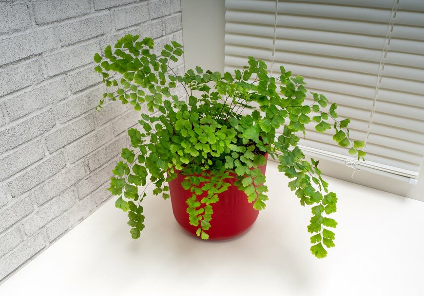 Zloyel/istockphoto.com