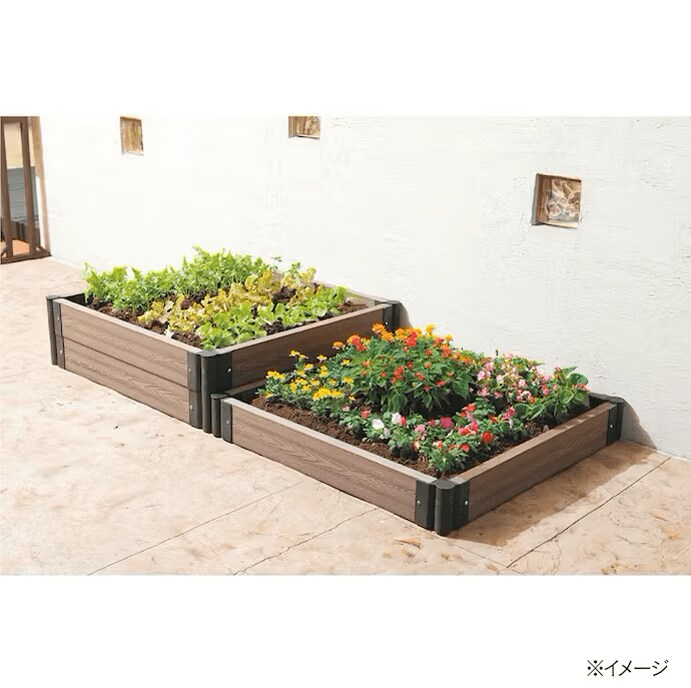 画像出所：カインズ公式