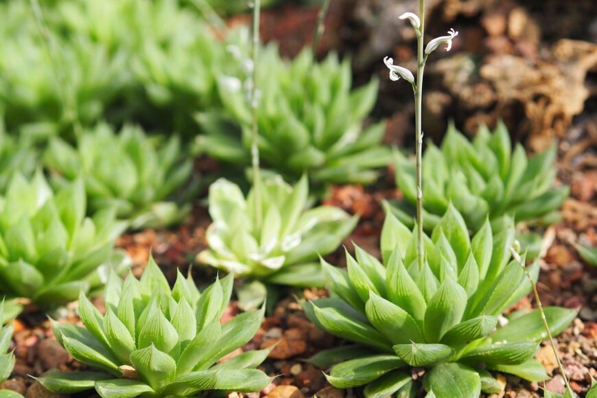 Banbury16/shutterstock.com