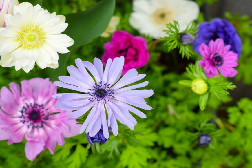 yuri-ss/shutterstock.com