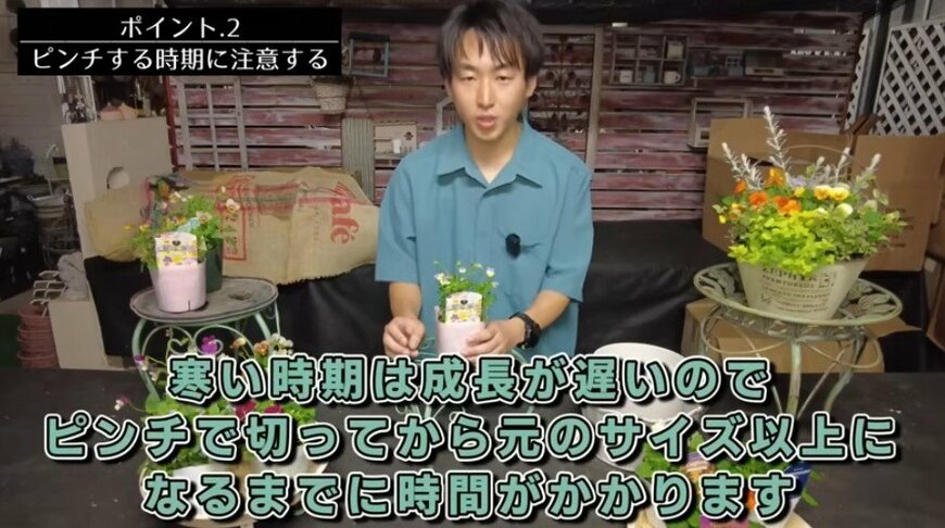 出所：@petit_fleur