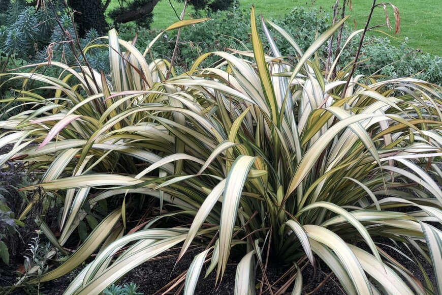 NGarden21/shutterstock.com