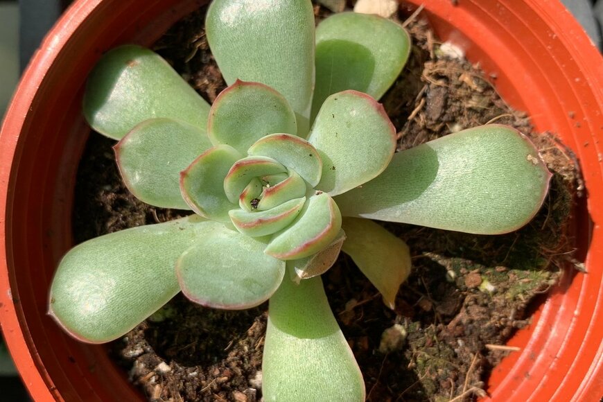 Anne Bee/Shutterstock.com