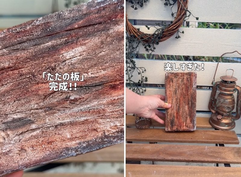 出所：＠taniku_succulents_life