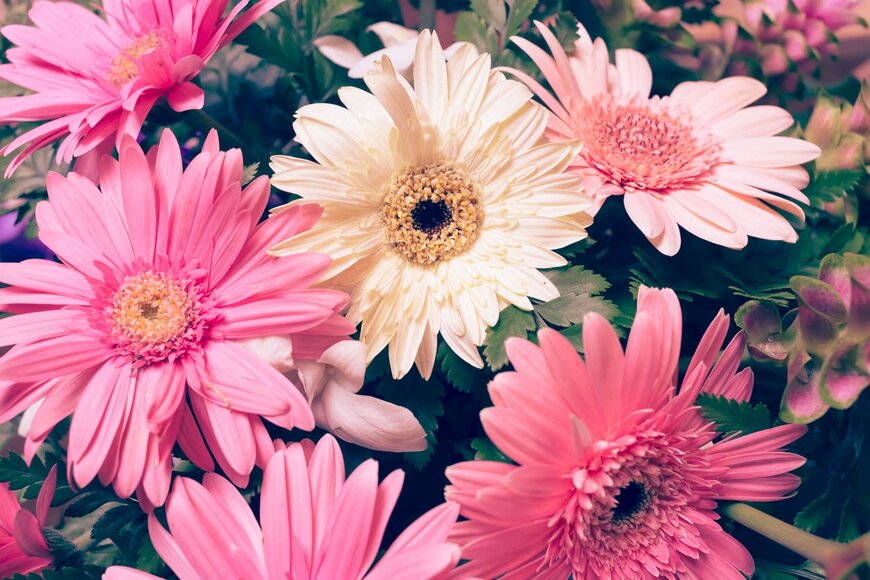 sutichak/istockphoto.com