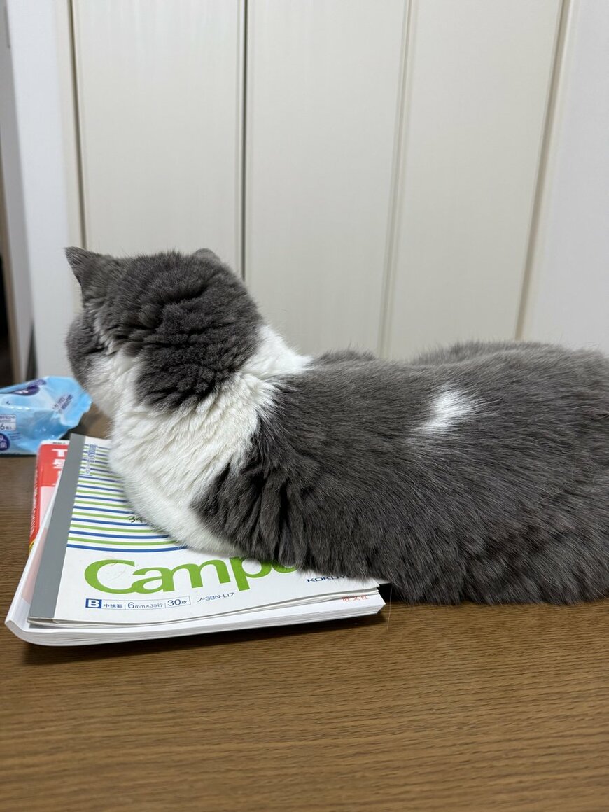 出所：@mog_cororincho