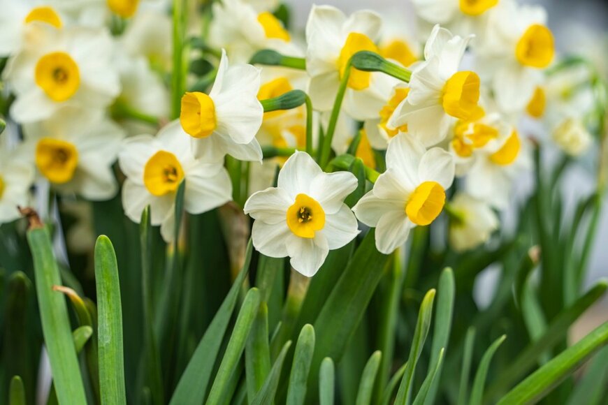 asharkyu/shutterstock.com