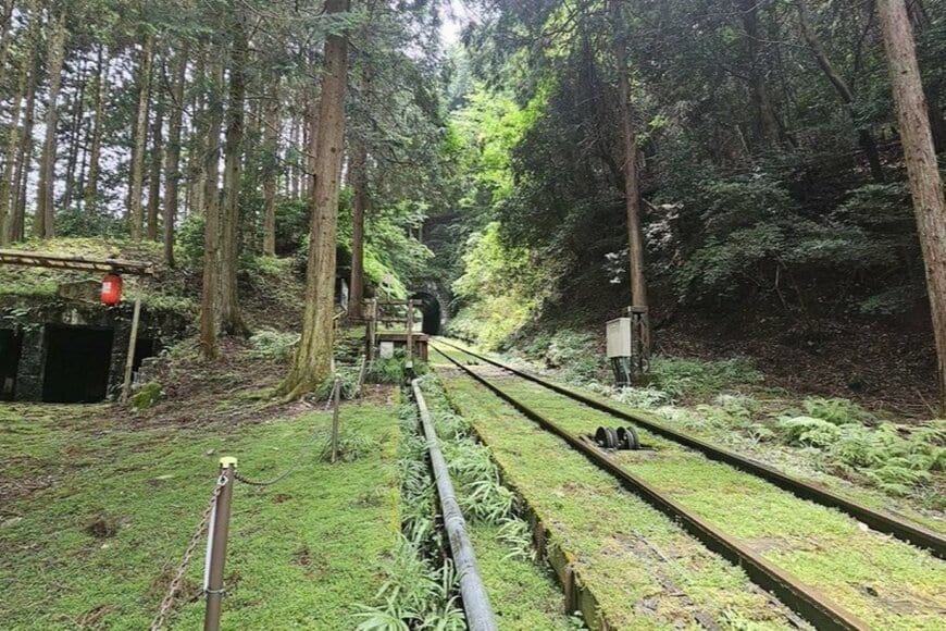 滋賀県・比叡山のケーブルカーで降りられる「秘境駅」　不思議な乗降体験に反響続々