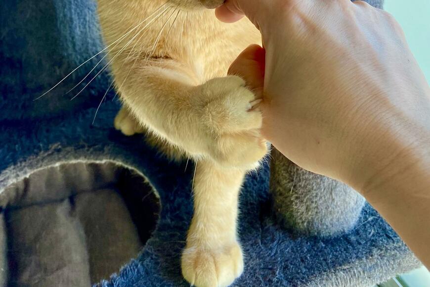 出所：@luna7taka9