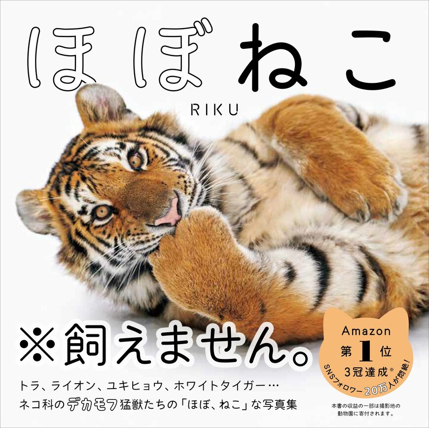 ほぼねこ 1650円(税込)