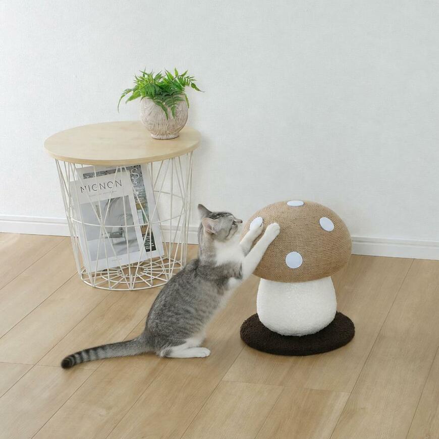 キノコ形の爪とぎに前足をかける猫