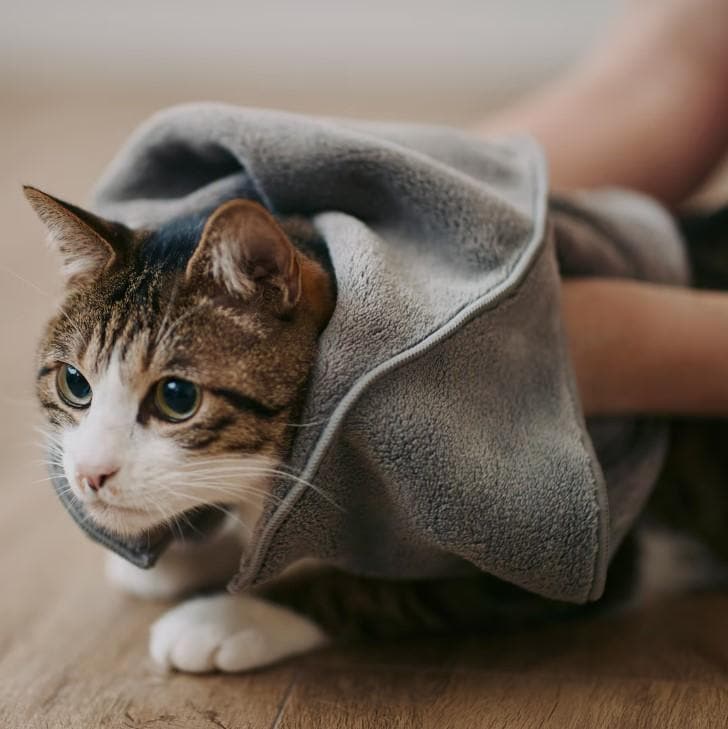 無印良品、マイクロファイバー　ポケット付ペット用タオルの画像