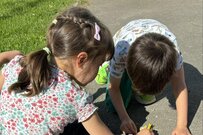 子供たちが発見した「弱りきったミツバチ」　心温まる行動に「優しくて素敵」との声