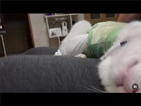 【脱力猫さん】まさかの寝顔に思わず笑ってしまう「コーヒー吹き出した」の声