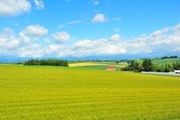 「北海道1周の距離」に思わず目を疑う　実は日本縦断の距離と変わらなかった…