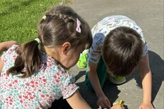 子供たちが発見した「弱りきったミツバチ」　心温まる行動に「優しくて素敵」との声