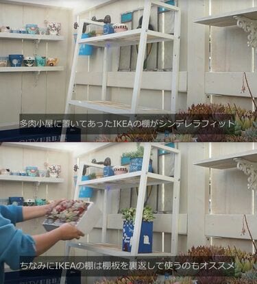 多肉植物棚DIY】カスタマイズ自由自在！IKEAの棚も活用し素敵な小屋が