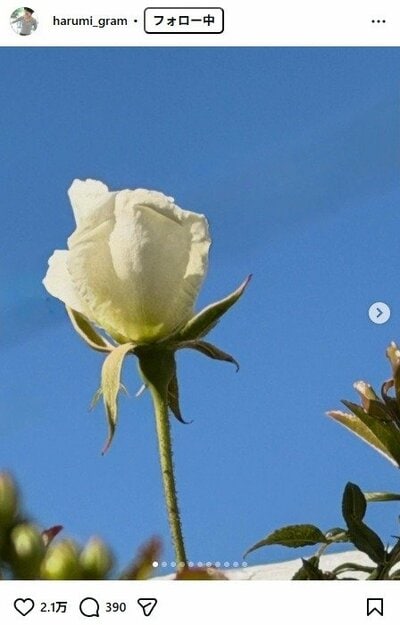 栗原はるみのInstagram投稿