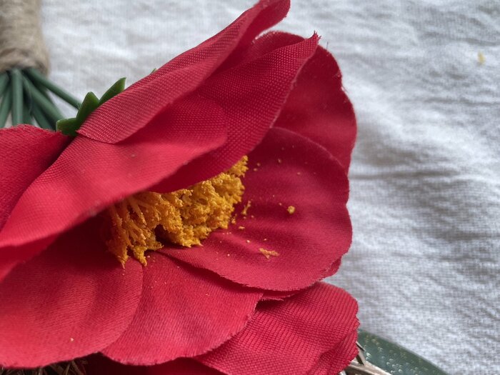 注意したいのが、赤い花の中にある黄色い「やく」の部分