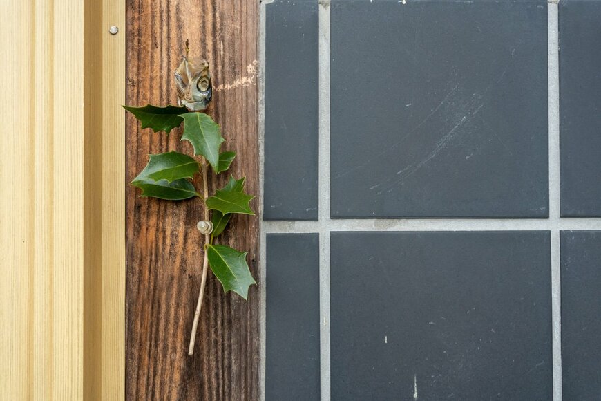 SAND555UG/shutterstock.com