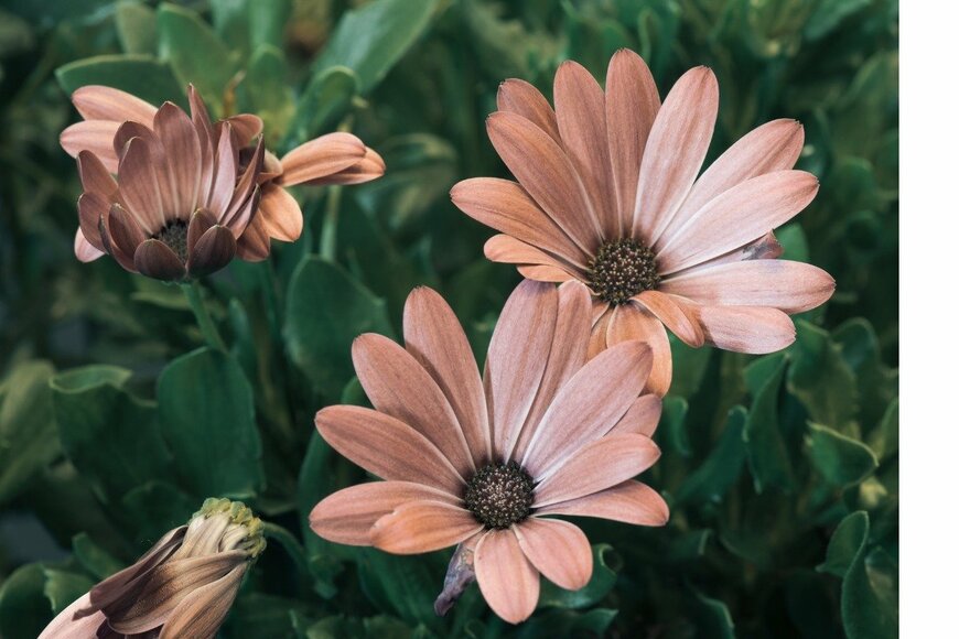 Olaf Holland/istockphoto.com