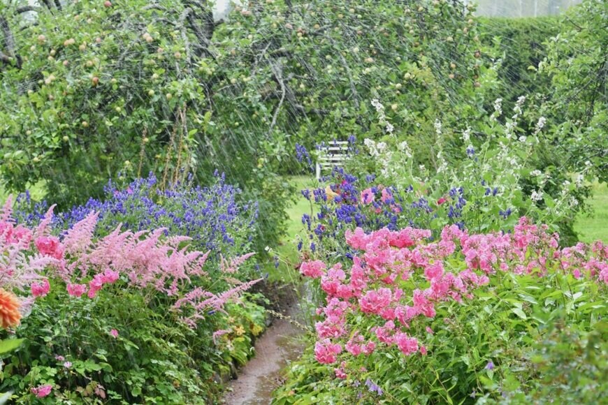 anniinatai/shutterstock.com