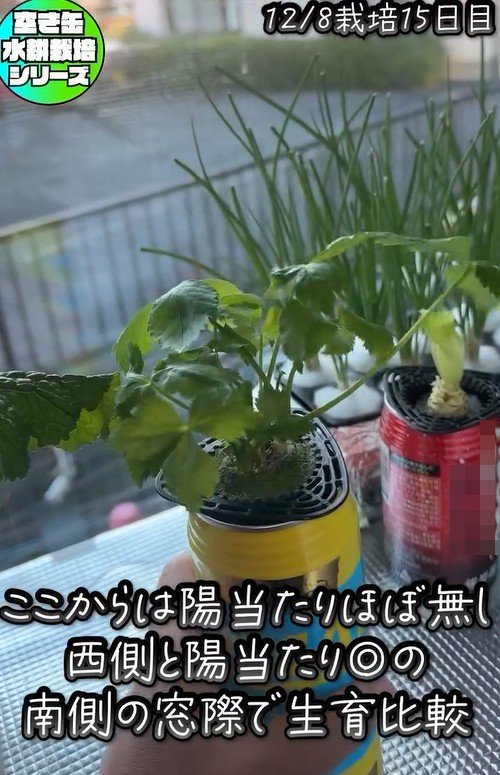 出所：@mikanbo_ya19_87