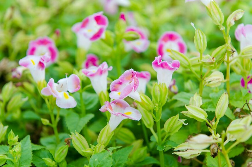 SONGSAKPANDET/istockphoto.com