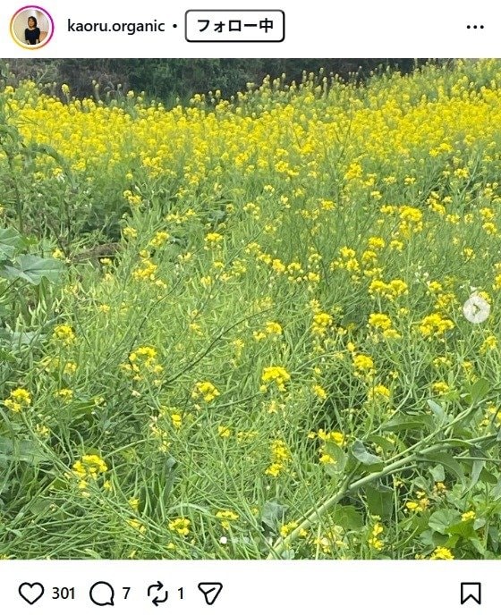 出所：杉田かおるのInstagram（＠kaoru.organic）　参照：2026年4月16日
