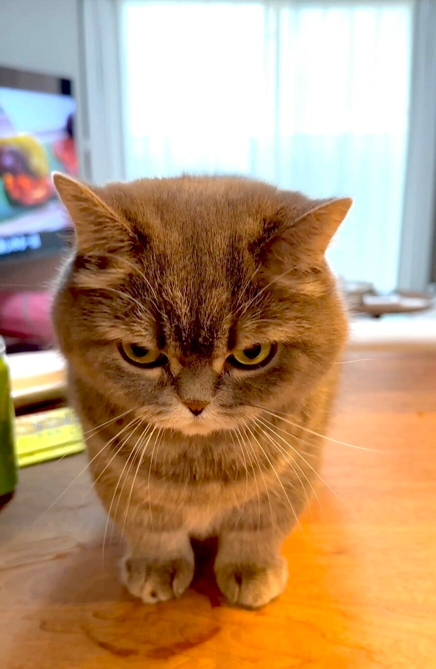 出所：@himaritomugi