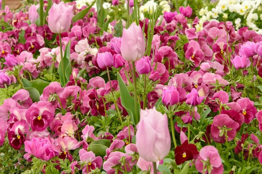 Orthosie/istockphoto.com