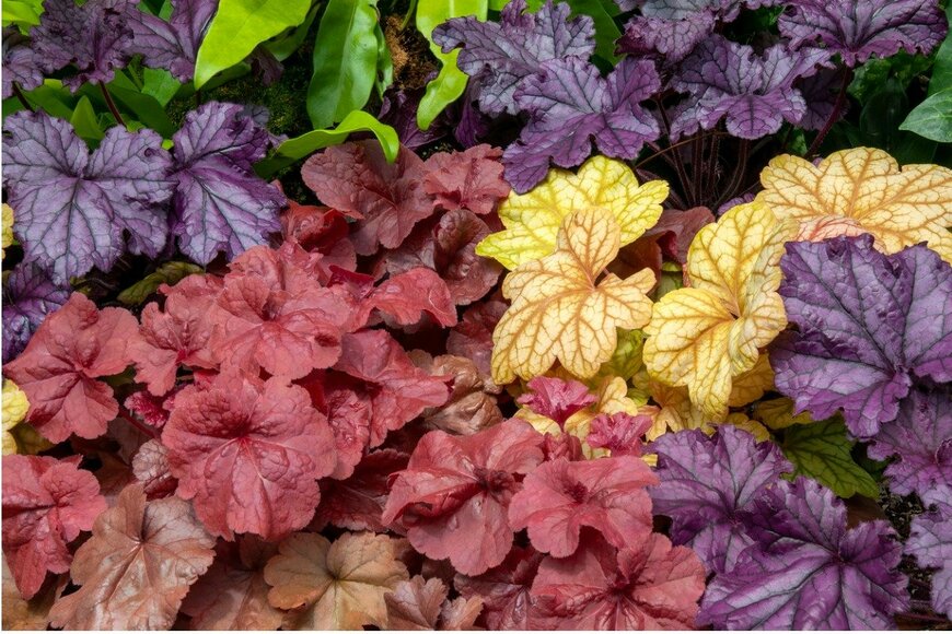 karin de Mamiel/istockphoto.com