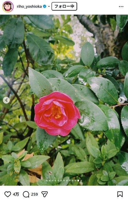 出所：吉岡里帆のInstagram（＠riho_yoshioka）　参照日：2026年3月19日